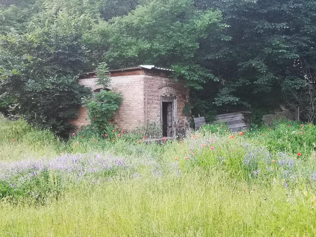 Am Landgut Schonwalde-Glien